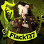 Flack137