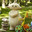 Makka Pakka