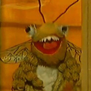 Mopsimus prime