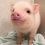 66666666666666666666666666666666