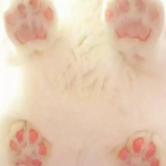 Yoko今天打到人了吗？