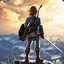 Link , the Hero of the Wild