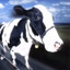 milkslap