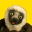 zoboomafoo