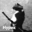 Нурик