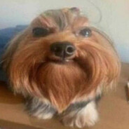 . - steam id 76561199388932864