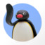 Pingu Penguin