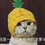 双椒棉棉冰