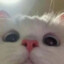 肉蛋葱鸡