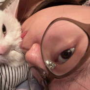 rk大人屌屌屌666