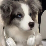 56岁迪士尼在逃头秃击队队员