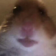 MR.Taffy