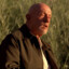 mike ehrmantraut