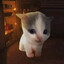 🐱ФАНАТ Вилли🐱