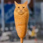 Corndog Cat