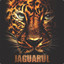 |◥◣ ◢◤|Jaguarul&gt;