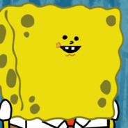 sponge happy