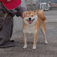 NoMuashook❤壹菇超人