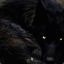 DarkLunarWolf