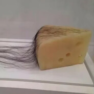 QUEIJO COM CABELO