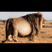 ded shakal - steam id 76561198884718377