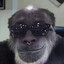 King Monkey's avatar