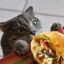 Kebab_katten