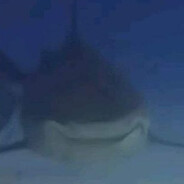 Дамскийугодник217