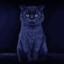 hobbes_81