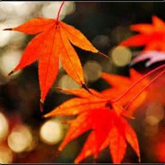 你二大爷三叔公的哥