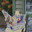ninini-