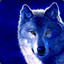 bluetrain88