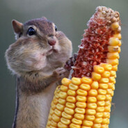 春田花花幼稚园