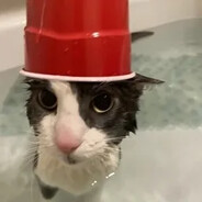 Lemongrab in a helldiver suit