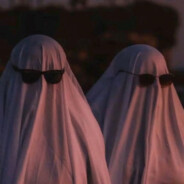 EL - LOGIK #FREE_PALESTINE