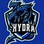 HYDRA CSGO.RUN