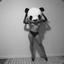 Panda Sexpress