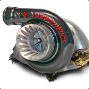 TheTurboTurtle