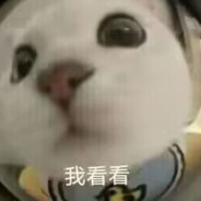 我看你真的急了