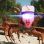 RaveCrab