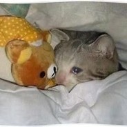 陈富贵为所欲为