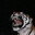 Scar †