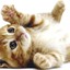 KinGamer_334