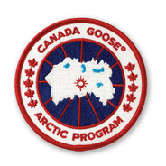 Canada goose