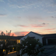 ❤帝国の最強のトラ理塘伝説丁真❤