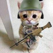 RolandX.CS2-CASES.COM