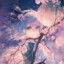 KonpakuYoumu