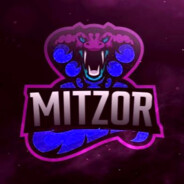 Mitzor