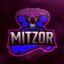 Mitzor