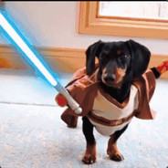 痛击队友保护我的敌人